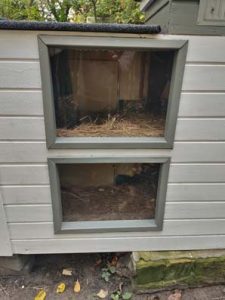 Fotos | Das Winterhaus - Die Fenster | Bild 047