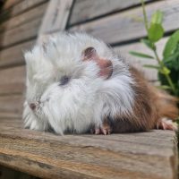 Fotos | Freya | 2025