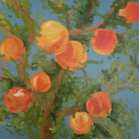 Fotos | Sonja Tabea | Der orangene Sommer | 23.01.2024