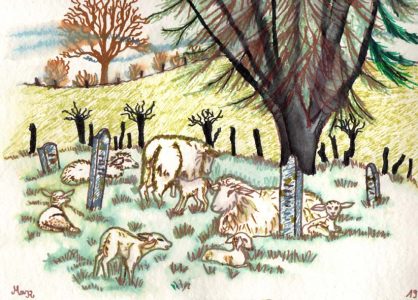 Die Schafherde Zeichnungen | Die Schafherde | Bild 3