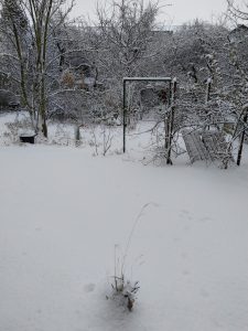 Fotos | Schnee im Meerschweinchenparadies | Bild 01 | 05.01.2026