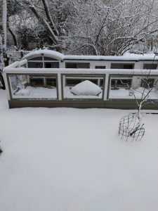Fotos | Schnee im Meerschweinchenparadies | Bild 03 | 05.01.2026