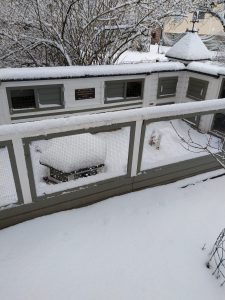 Fotos | Schnee im Meerschweinchenparadies | Bild 04 | 05.01.2026