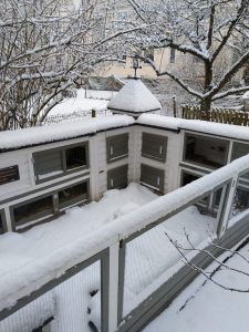 Fotos | Schnee im Meerschweinchenparadies | Bild 08 | 05.01.2026
