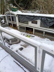 Fotos | Der erste Ausflug im Schnee | Bild 13 | 07.01.2026