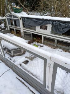 Fotos | Der erste Ausflug im Schnee | Bild 14 | 07.01.2026