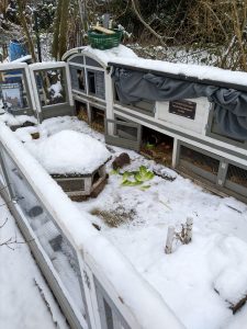 Fotos | Der erste Ausflug im Schnee | Bild 15 | 07.01.2026
