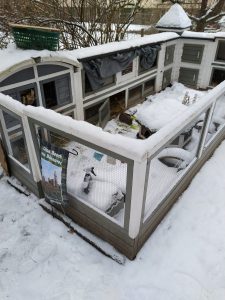 Fotos | Der erste Ausflug im Schnee | Bild 17 | 07.01.2026