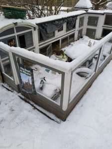 Fotos | Der erste Ausflug im Schnee | Bild 12 | 07.01.2026