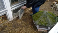 Fotos | Die Meerlis von Hannover | Bild 42 | 15.03.2026