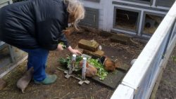 Fotos | Die Meerlis von Hannover | Bild 43 | 15.03.2026