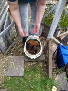 Lilly und Marleen ziehen ein