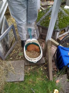 Lilly und Marleen ziehen ein