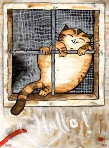 Kater Jakob hinter Gittern Zeichnung | Kater Jakob hinter Gittern | Bild 8