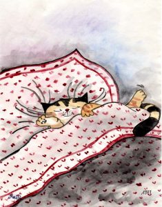 Kater Jakob im Bett Zeichnung | Kater Jakob im Bett | Bild 30