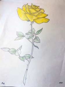 Die Rose Zeichnungen | Rose | Bild 7