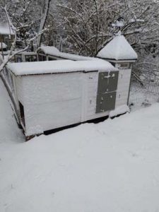 Fotos | Winter im Meerschweinchen-Paradies