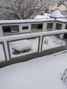 Fotos | Winter im Meerschweinchen-Paradies