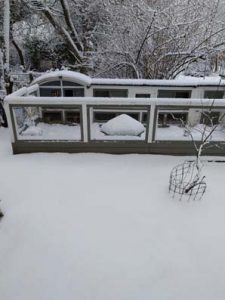 Fotos | Winter im Meerschweinchen-Paradies