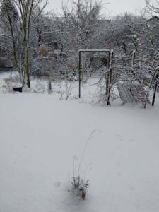 Fotos | Winter im Meerschweinchen-Paradies