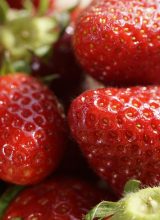 Erdbeeren