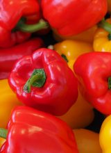 Paprika