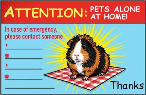 Infokarte Attention Pets Alone At Home