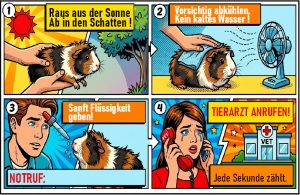 Infokarte Notruf