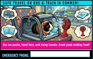 Infocard Safe Travel On Bus & Train In Summer!