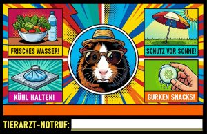 Infokarte Sommer Guide-1
