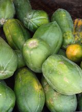 Papayas