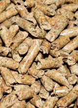 Meerschweinchen-Pellets