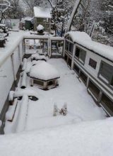 Winter im Meerschweinchenparadies